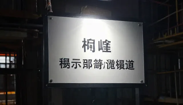 社区创作生态中提示词翻译成英文的使用困境
