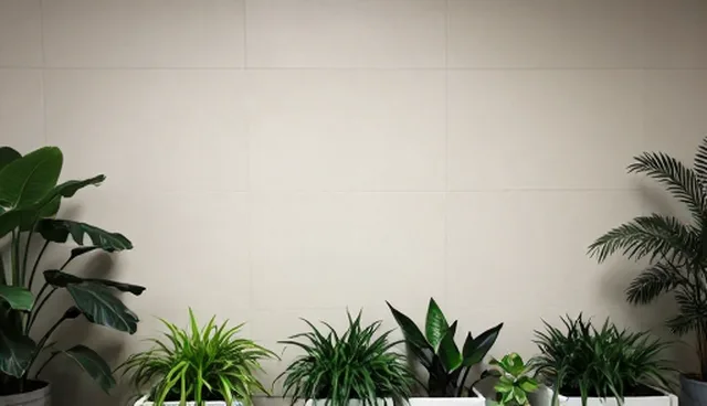 AI提示词网站链接选型与维护建议